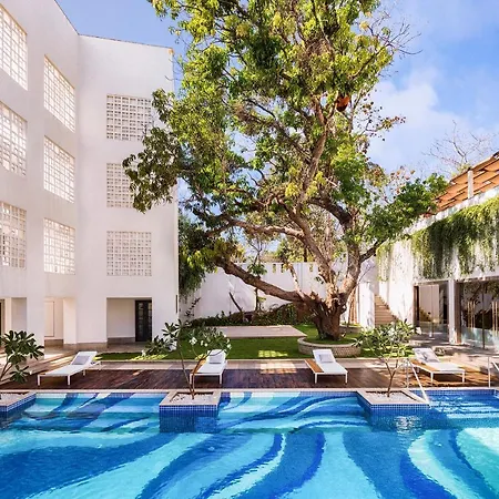 The Yellow House, Goa - Ihcl Seleqtions